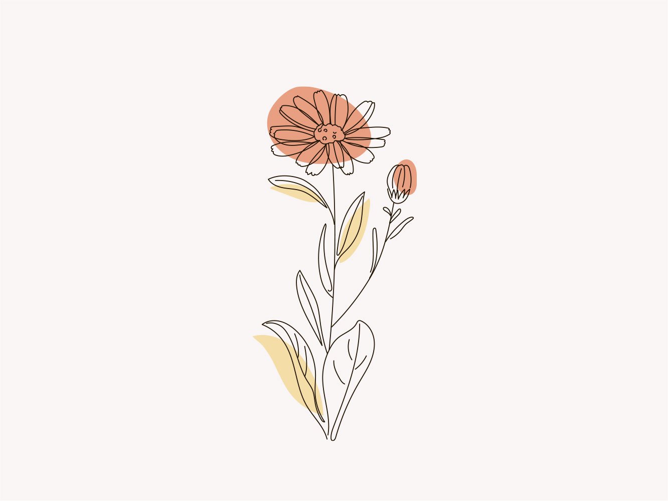proj-10